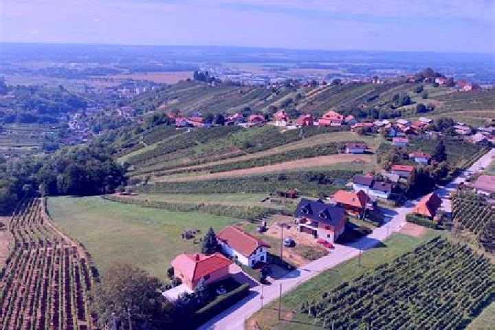 Escorts Lendavske Gorice, Slovenia — Local Companions