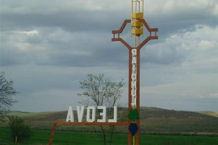 Escorts Leova, Moldova — Local Companions