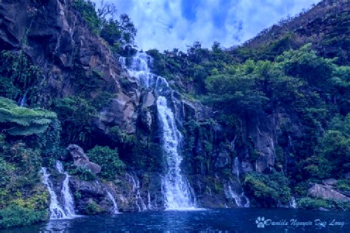 Escorts Les Trois-Bassins, Reunion — Local Companions