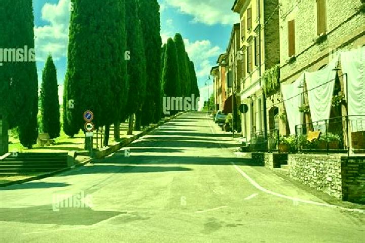 Escorts Levizzano Rangone, Italy — Local Companions