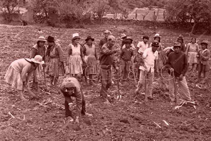 Escorts Libertad Campesina, Mexico — Local Companions