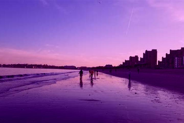 Escorts Lido Beach, United States — Local Companions