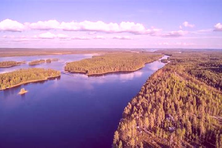 Escorts Lieksa, Finland — Local Companions