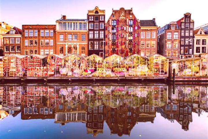 Escorts Lievendaal, Netherlands — Local Companions