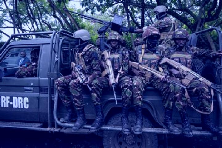 Escorts Likasi, DR Congo — Local Companions
