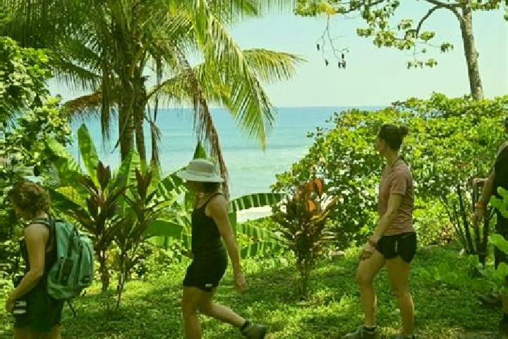 Escorts Limon, Costa Rica — Local Companions