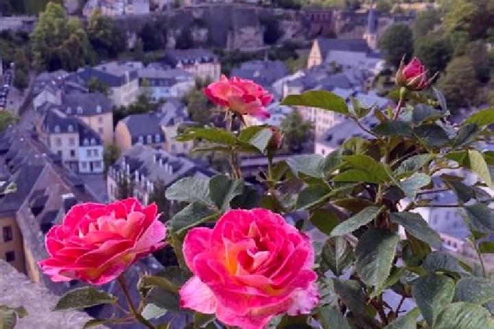 Escorts Limpertsberg, Luxembourg — Local Companions