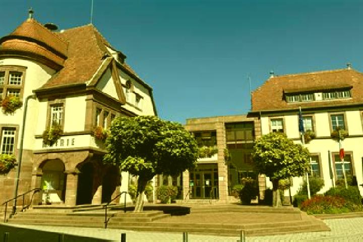 Escorts Lingolsheim, France — Local Companions