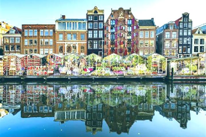 Escorts Lisserbroek, Netherlands — Local Companions