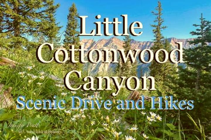 Escorts Little Cottonwood Creek Valley, United States — Local Companions