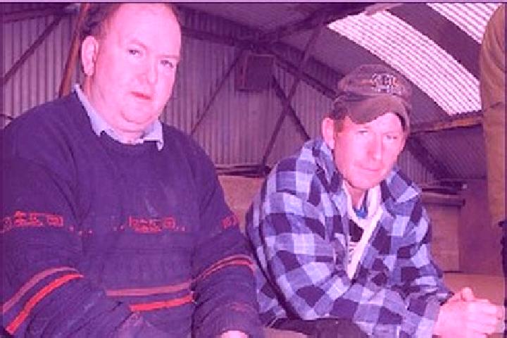Escorts Lixnaw, Ireland — Local Companions