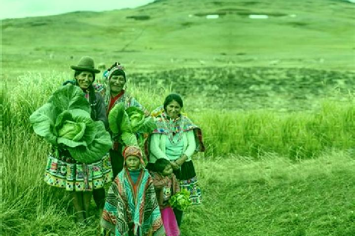 Escorts Llalli, Peru — Local Companions