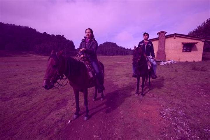 Escorts Llano de las Flores (Barrio del Hueso), Mexico — Local Companions