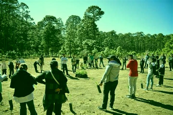 Escorts Llano de Zacapexco, Mexico — Local Companions