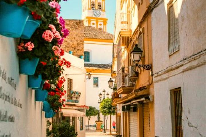 Escorts L Olleria, Spain — Local Companions