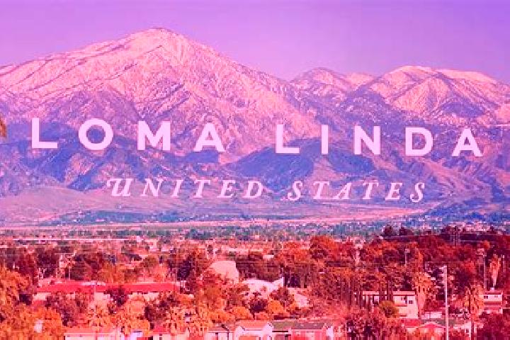 Escorts Loma Linda, United States — Local Companions