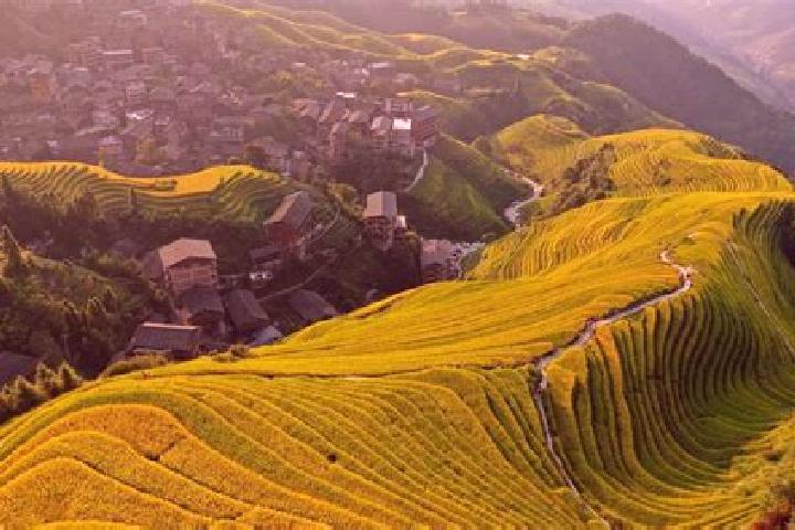 Escorts Longji, China — Local Companions