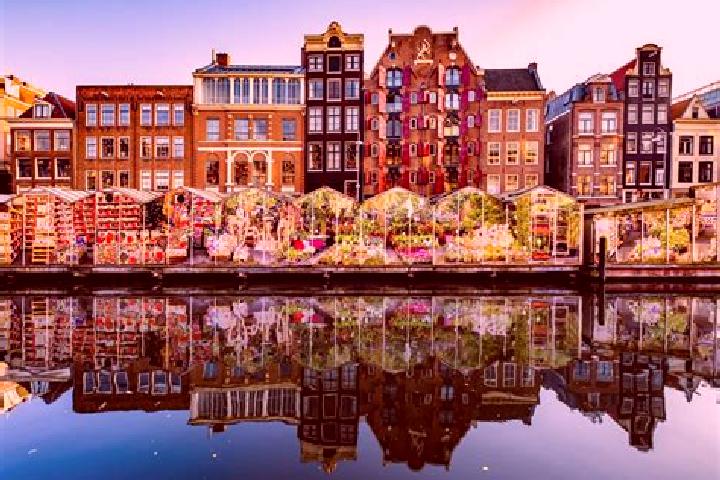 Escorts Loosbroek, Netherlands — Local Companions