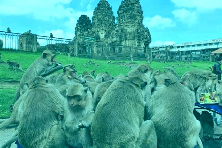 Escorts Lop Buri, Thailand — Local Companions