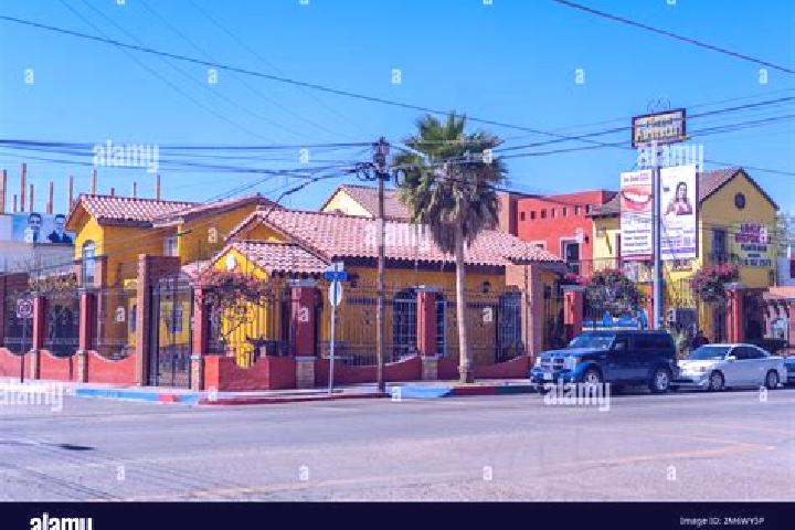 Escorts Los Algodones, Mexico — Local Companions