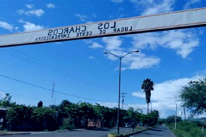 Escorts Los Charcos, Mexico — Local Companions