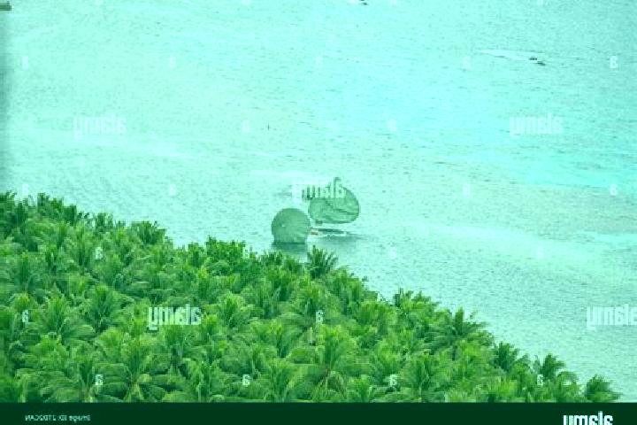 Escorts Losap, Micronesia — Local Companions