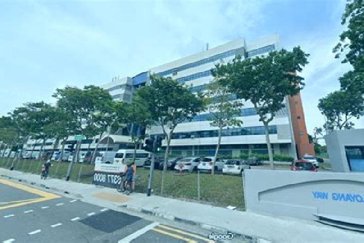 Escorts Loyang, Singapore — Local Companions