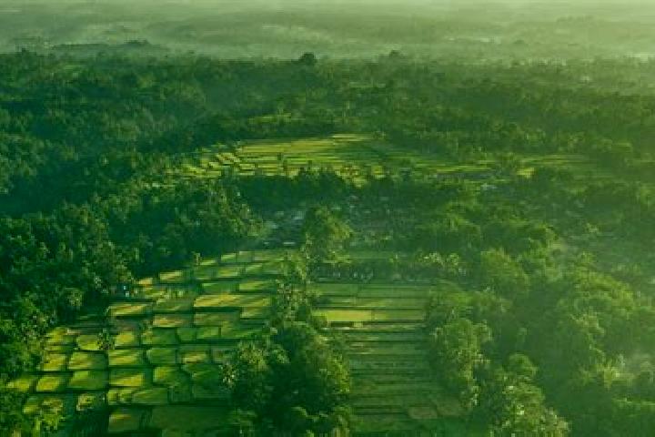 Escorts Lubuk Basung, Indonesia — Local Companions