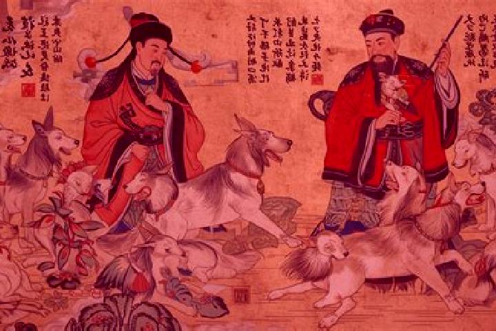 Escorts Lujiao, China — Local Companions
