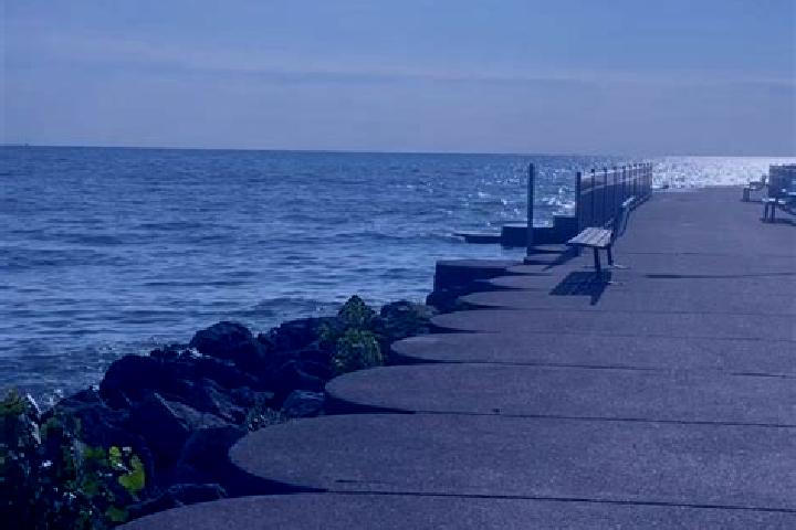 Escorts Luna Pier, United States — Local Companions