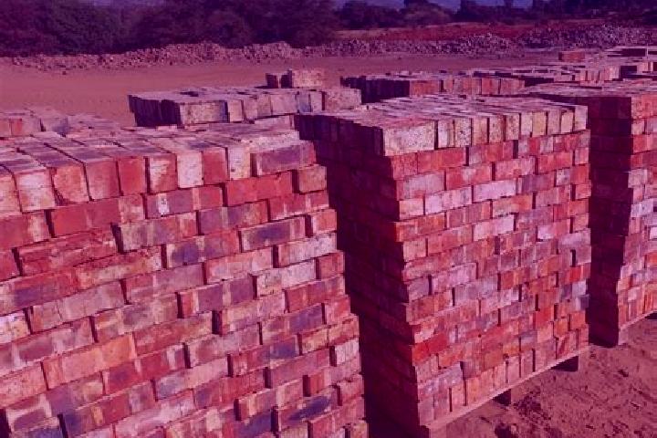 Escorts Lwamondo, South Africa — Local Companions