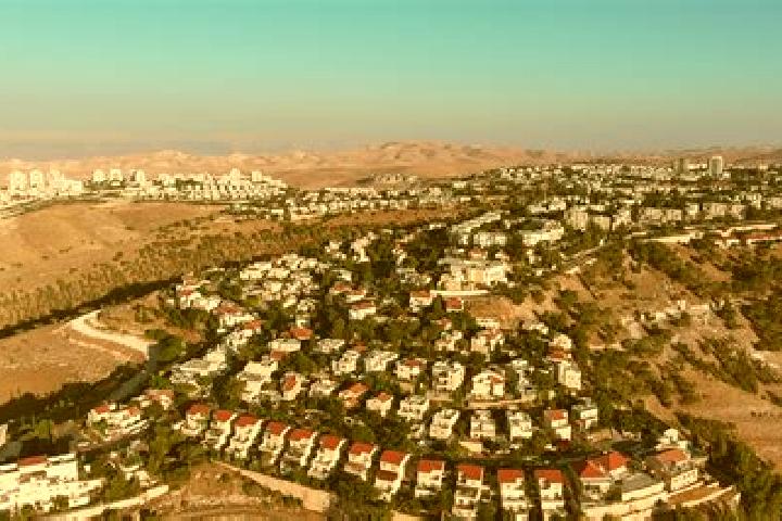 Escorts Ma ale Efrayim, Palestine — Local Companions