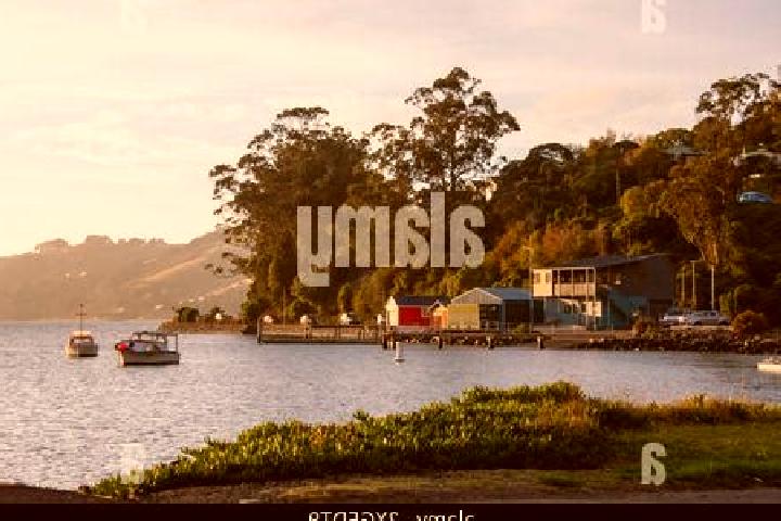 Escorts Macandrew Bay, New Zealand — Local Companions