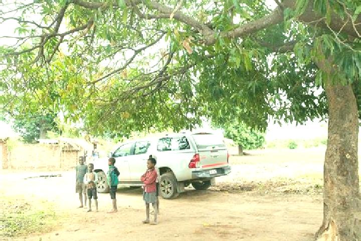 Escorts Machinga, Malawi — Local Companions