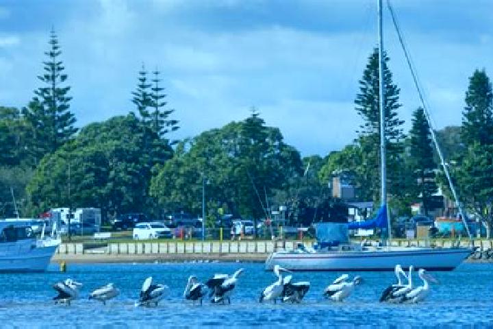 Escorts Macquarie Hills, Australia — Local Companions
