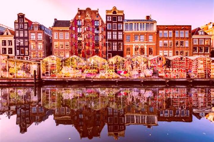 Escorts Made, Netherlands — Local Companions