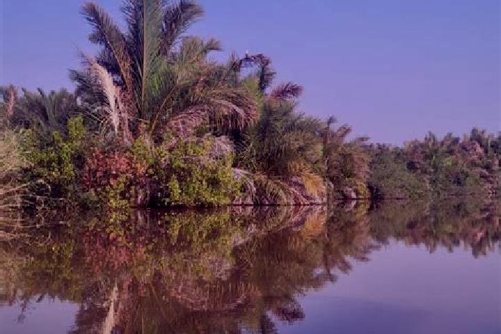 Escorts Madina, Gambia — Local Companions