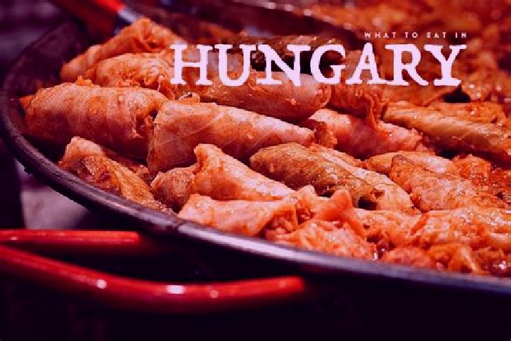 Escorts Madocsa, Hungary — Local Companions