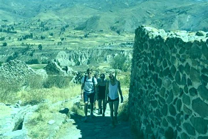 Escorts Madrigal, Peru — Local Companions