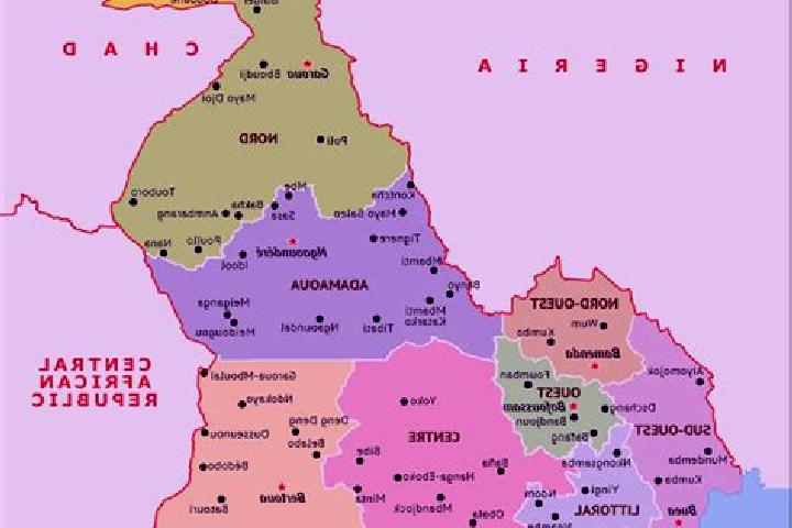 Escorts Magba, Cameroon — Local Companions