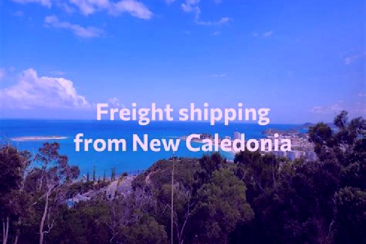 Escorts Magenta, New Caledonia — Local Companions
