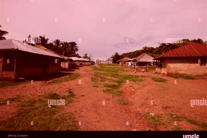 Escorts Makali, Sierra Leone — Local Companions