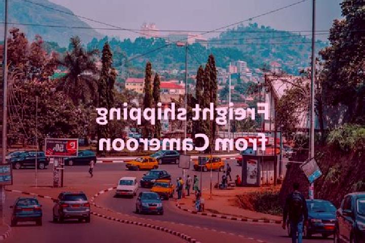 Escorts Makary, Cameroon — Local Companions