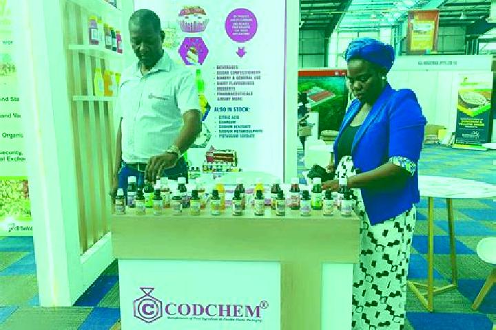 Escorts Makoba, Botswana — Local Companions