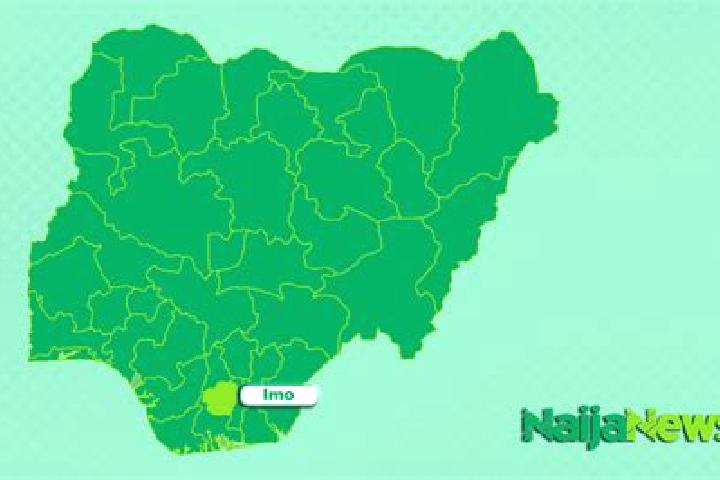 Escorts Malam Madori, Nigeria — Local Companions