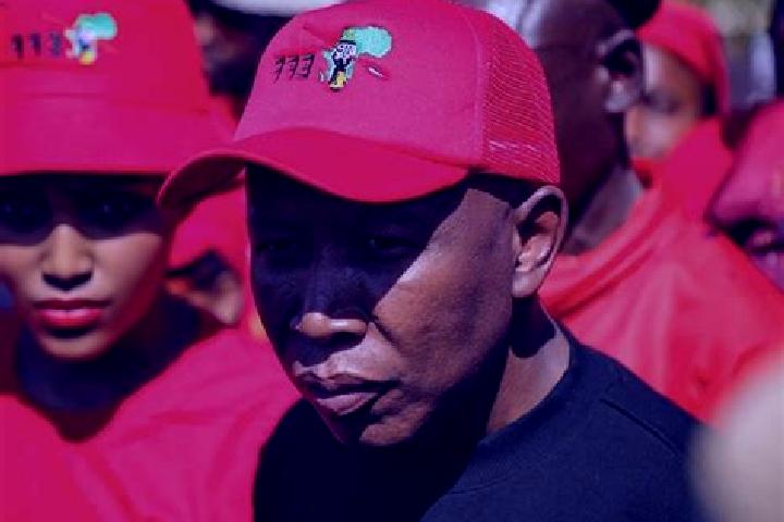 Escorts Malema, Mozambique — Local Companions