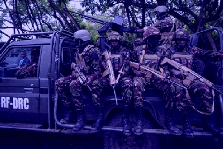Escorts Malemba, DR Congo — Local Companions