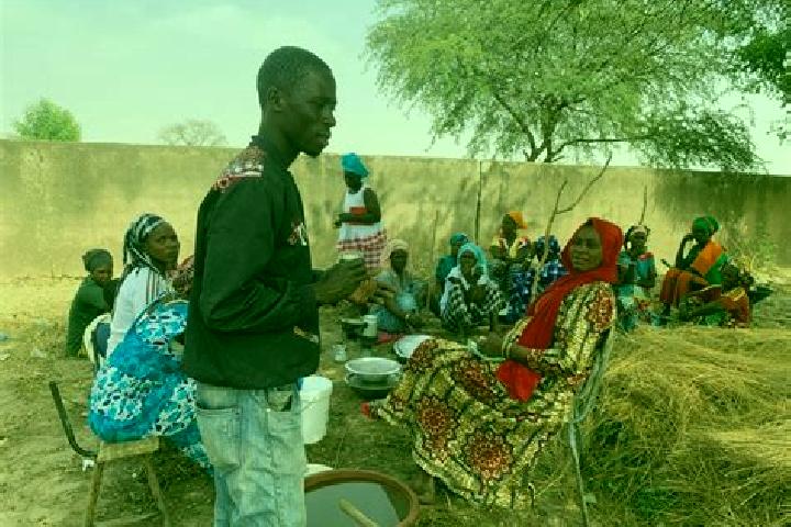 Escorts MalemHodar, Senegal — Local Companions