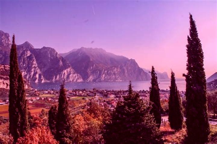 Escorts Mallare, Italy — Local Companions