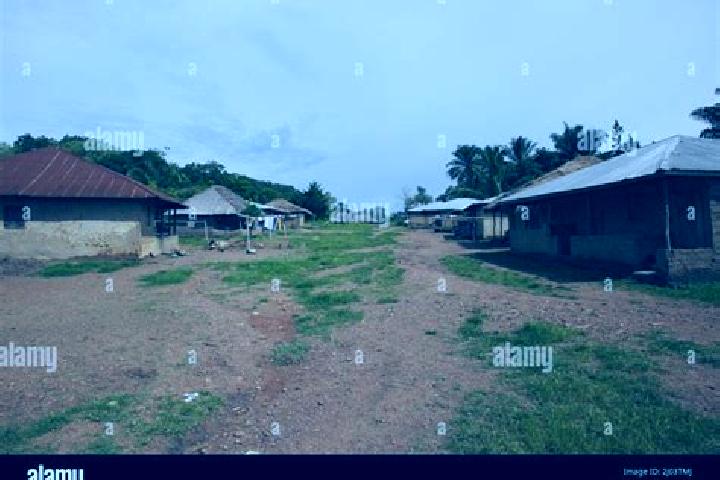 Escorts Mamboma, Sierra Leone — Local Companions